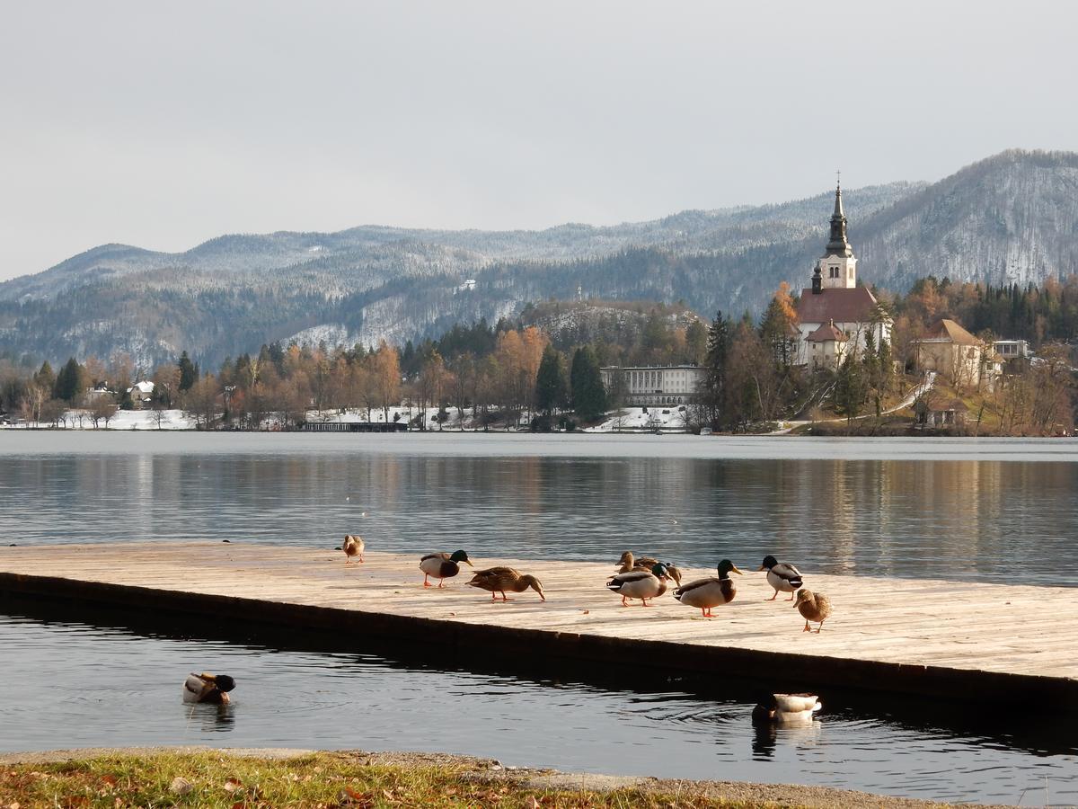 Lake House Sebanc Bled Eksteriør bilde
